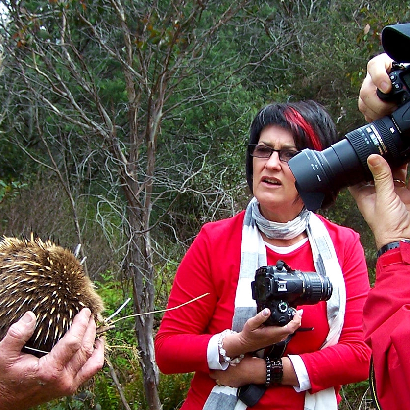 Bushy with an Echidna