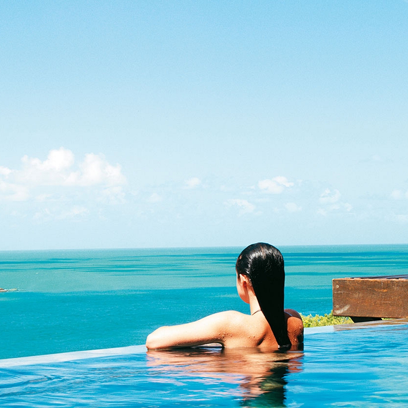 qualia in the great barrier reef