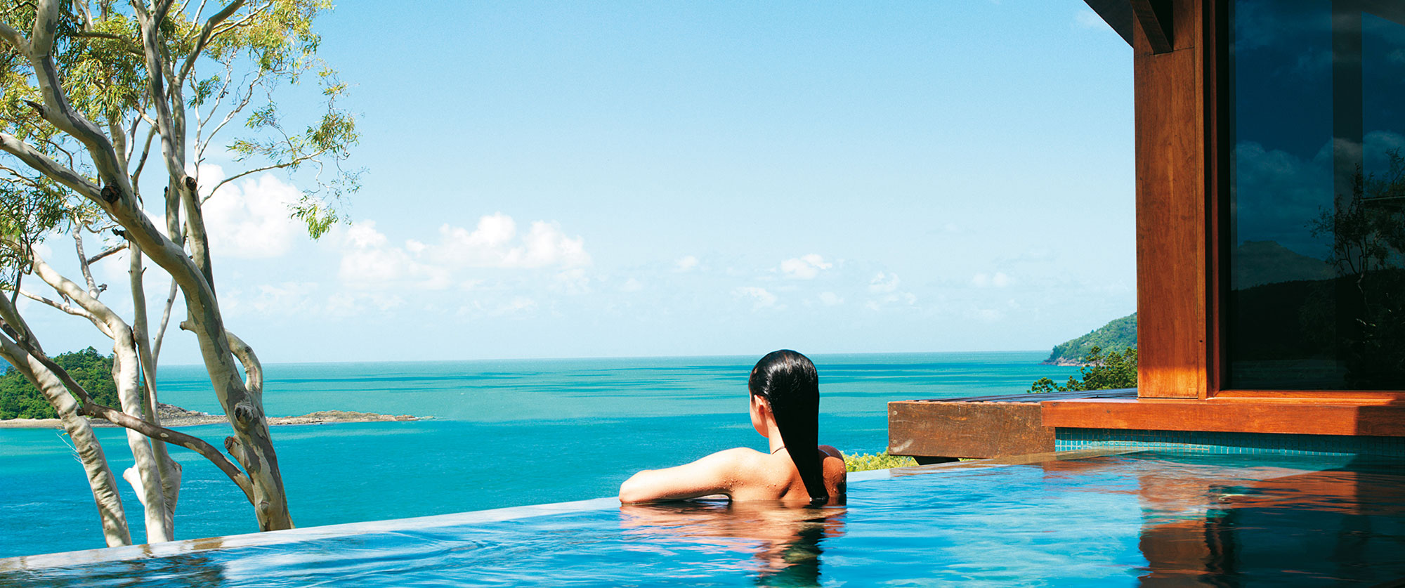 qualia in the great barrier reef